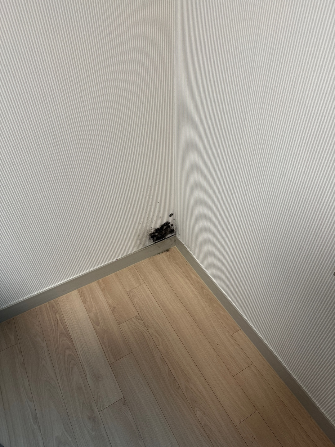3553954347_VcAe4K6w_23ed02d2d96cd7ef680d552bb669994e1fd4b033.jpeg 이미지크게보기