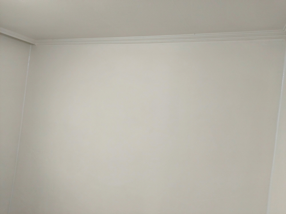 3034925698_BRepltuS_b1b5f2bd3a0608d4f972d25ce1be21f7f81d8472.jpg 이미지크게보기