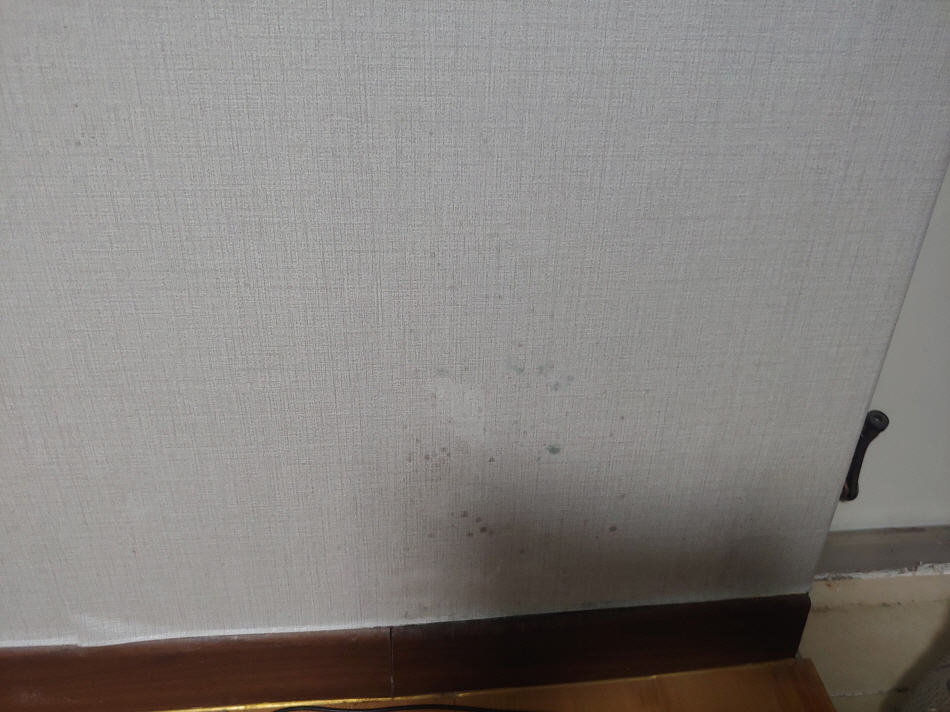 3034925698_G5vBXD4u_7e9d60ba5e3dd3d4d24189864d0861659c2ff7dc.jpg 이미지크게보기
