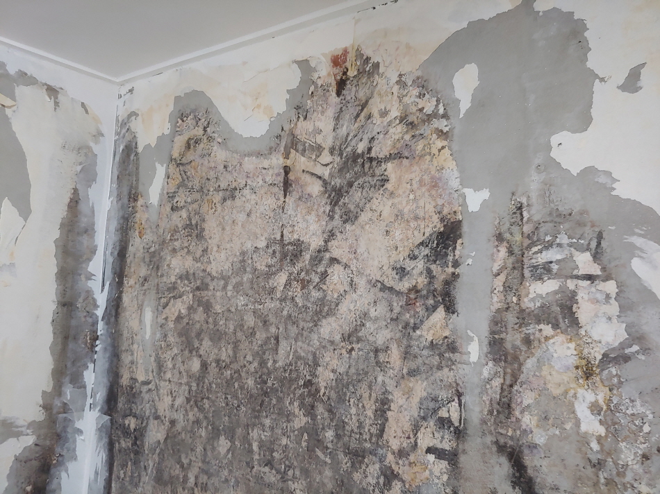 3034925698_hlsG5zyM_9e59f74ebd6c04306ee4c038cc43b8a163b8dcd1.jpg 이미지크게보기