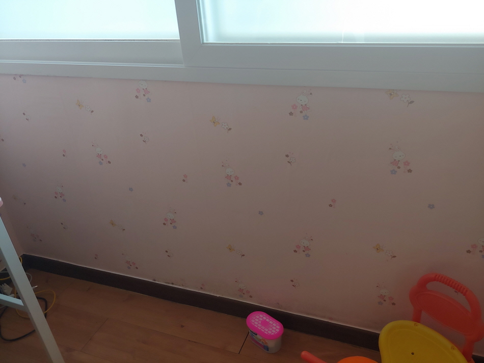 3034925698_mqVNtclO_558a82fd881cbc9b77816b57dccffe99a3f38778.jpg 이미지크게보기