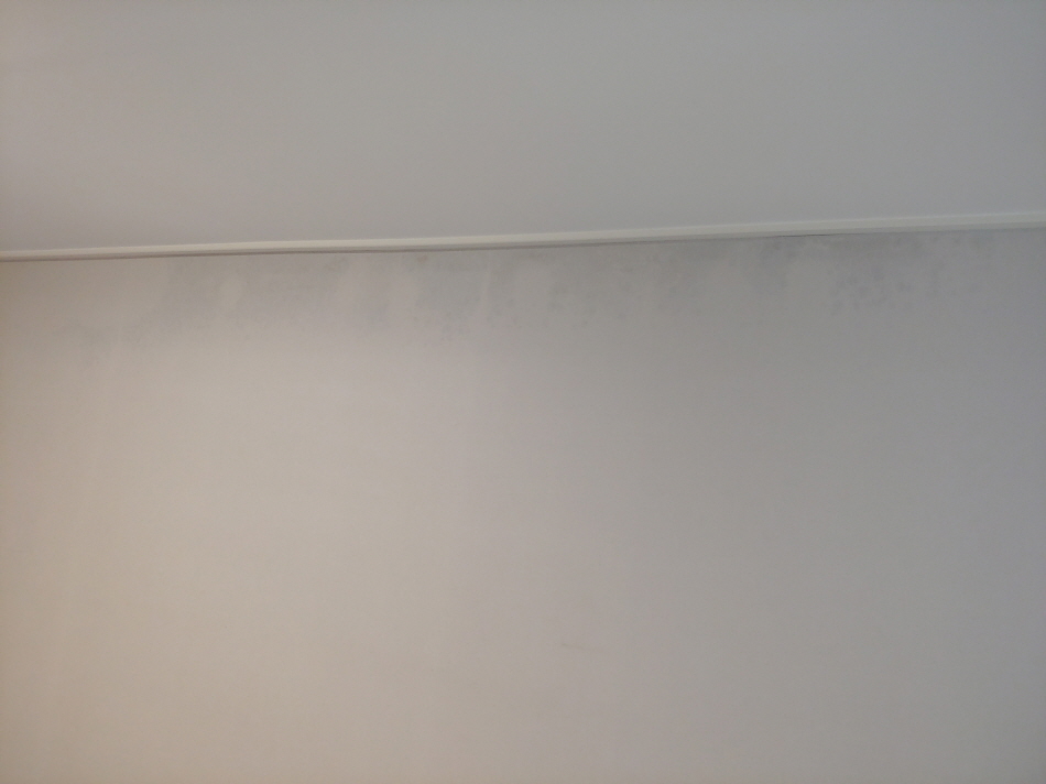 31490606_HpGPQfas_1376bba8d74f2e668f6aaccb8488f05ce0ffba33.jpg 이미지크게보기