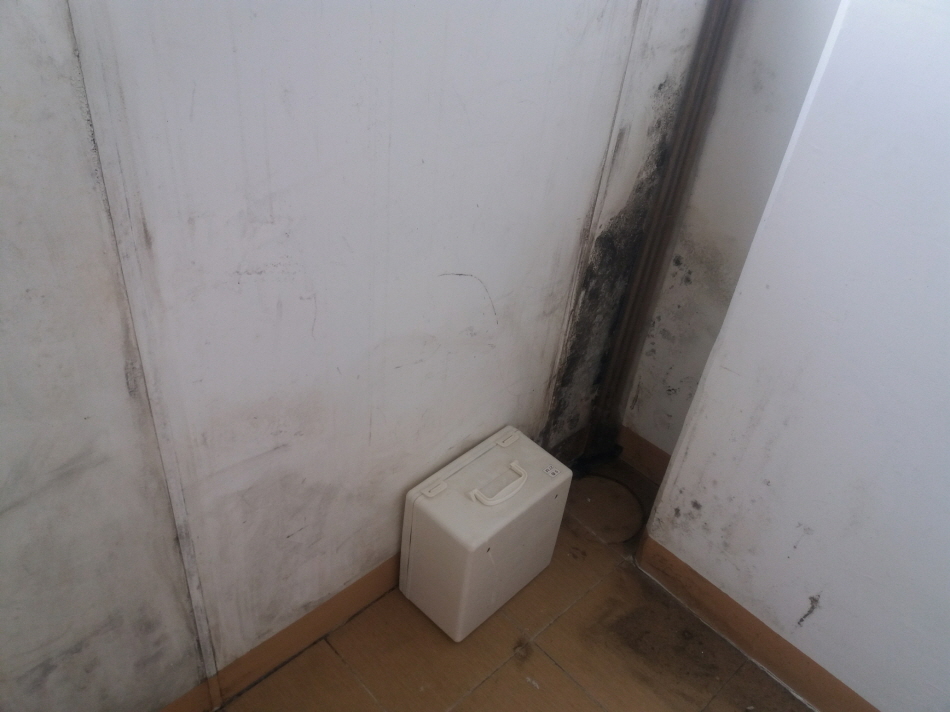 31490606_YjSU3rul_a2625e00f8bcc150cb69842dfbad990989c861ee.jpg 이미지크게보기
