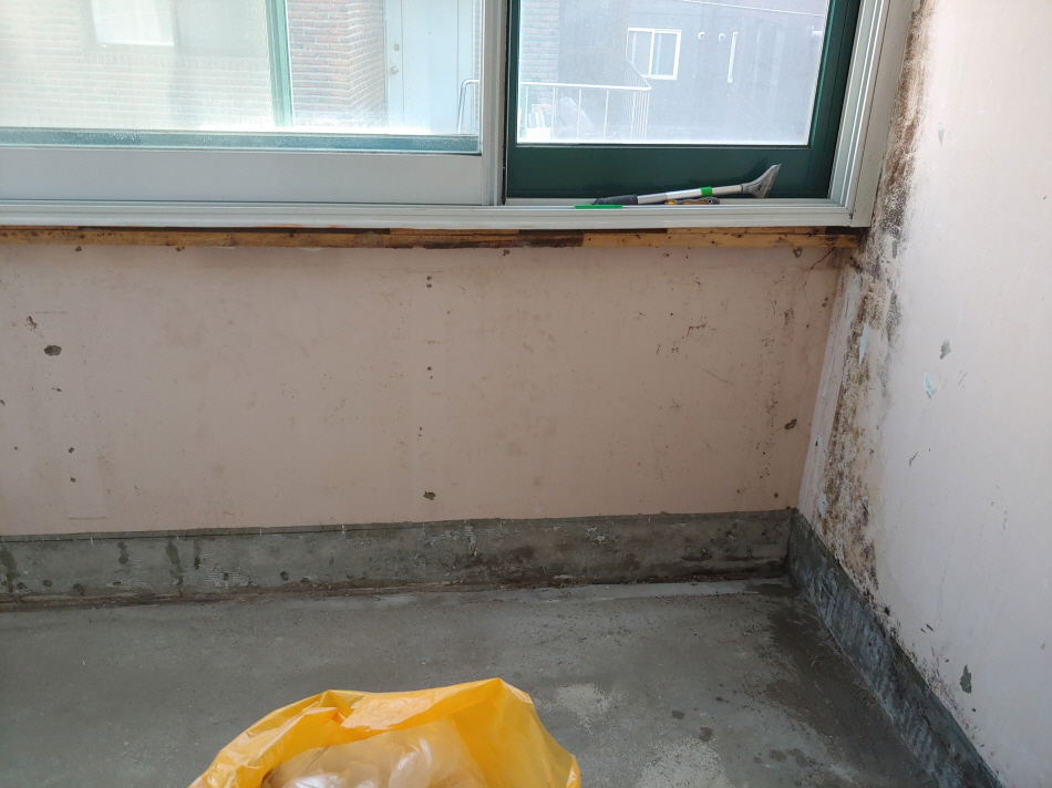 31490606_bVilJxzr_d28d46347ee5080ce26c0666f21a5f31f739083a.jpg 이미지크게보기