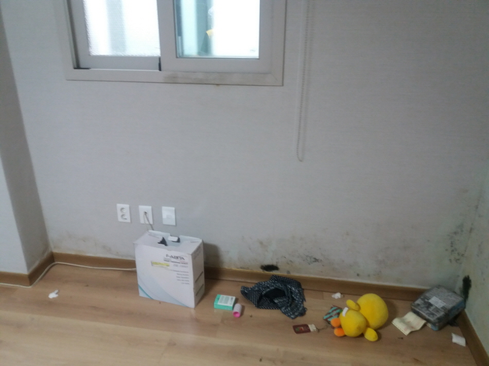 31490606_nYD84KGg_dd5e94c458f3c7e9438ffd27da2d54f2dd79578e.jpg 이미지크게보기