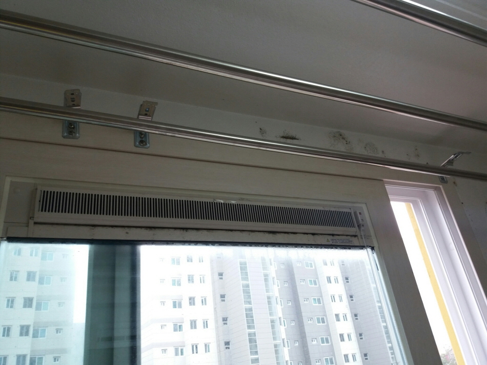 31490606_uCDbc2Zv_0c736af3c7237f98f43afdbaf0a53766ac6d6ab6.jpg 이미지크게보기