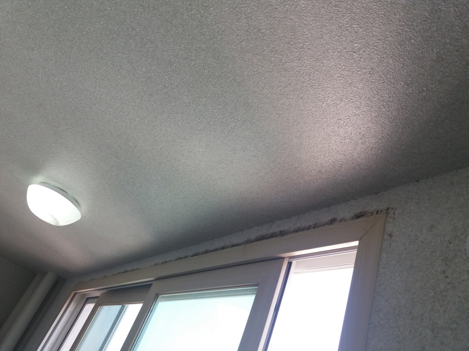 31490606_vfiOQIJB_7903c4a515e450a80a1306b93aa187b153a15596.jpg 이미지크게보기