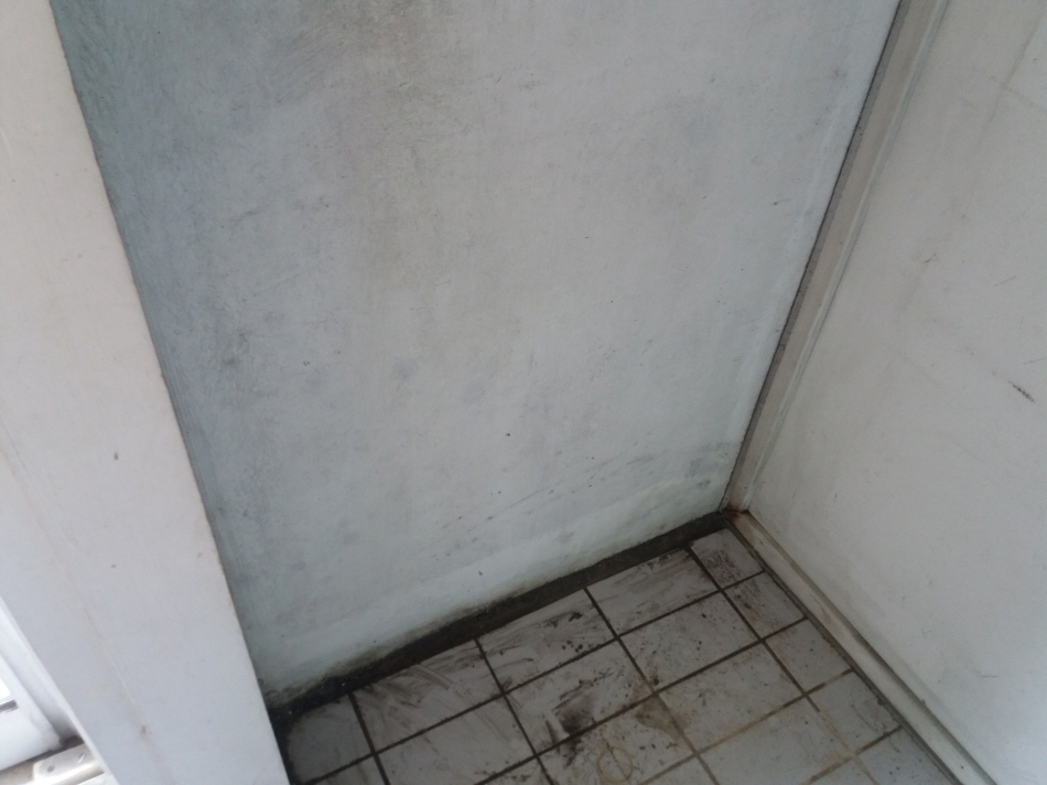 31490606_wfD5IucO_1e0daf56d61c183d43642a088e79c0139446ba50.jpg 이미지크게보기