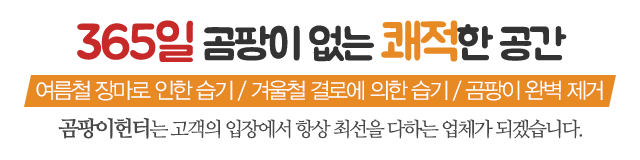 곰팡이헌터_메인문구_내용