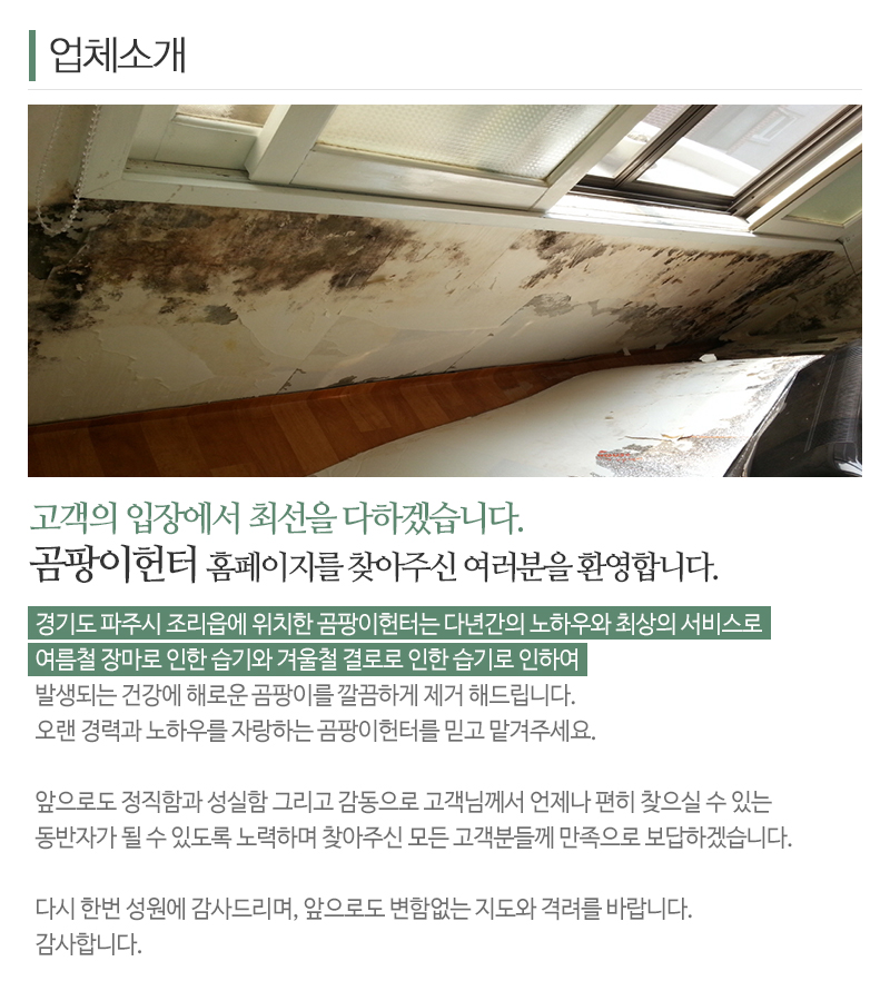 곰팡이헌터_내용
