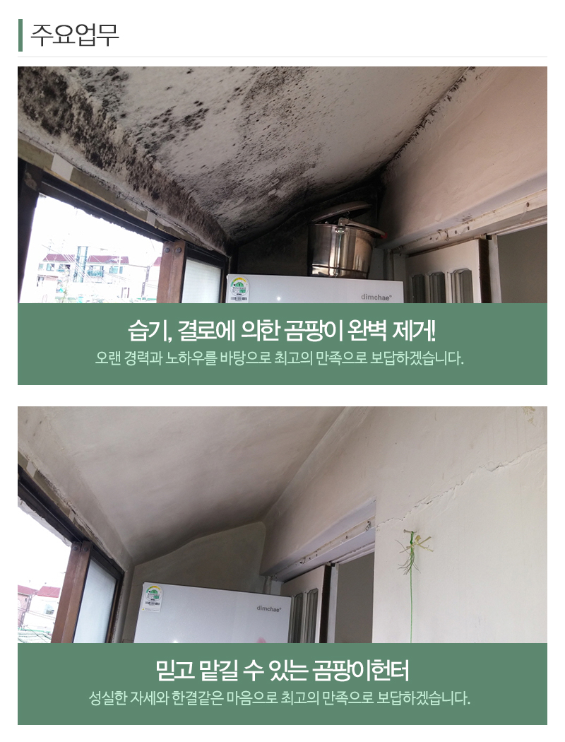 곰팡이헌터_내용